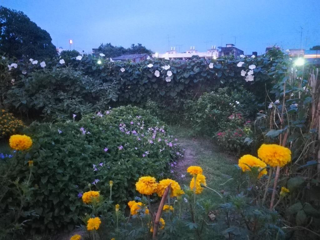 Baan Bussaba Hotel Trang Luaran gambar